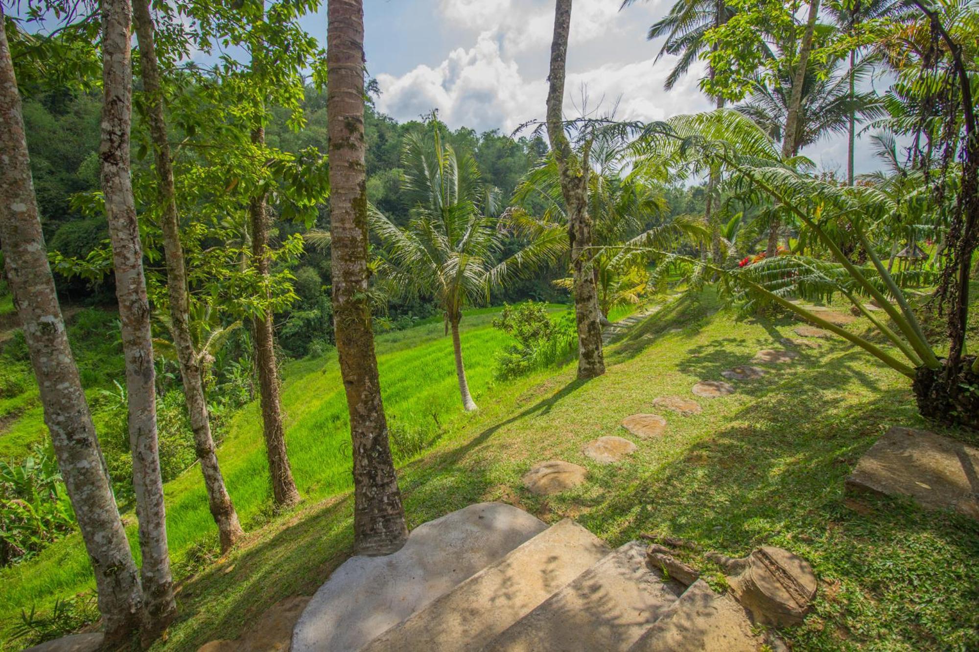 Pesona Bali Ecolodge By Agata Джатилувих Экстерьер фото