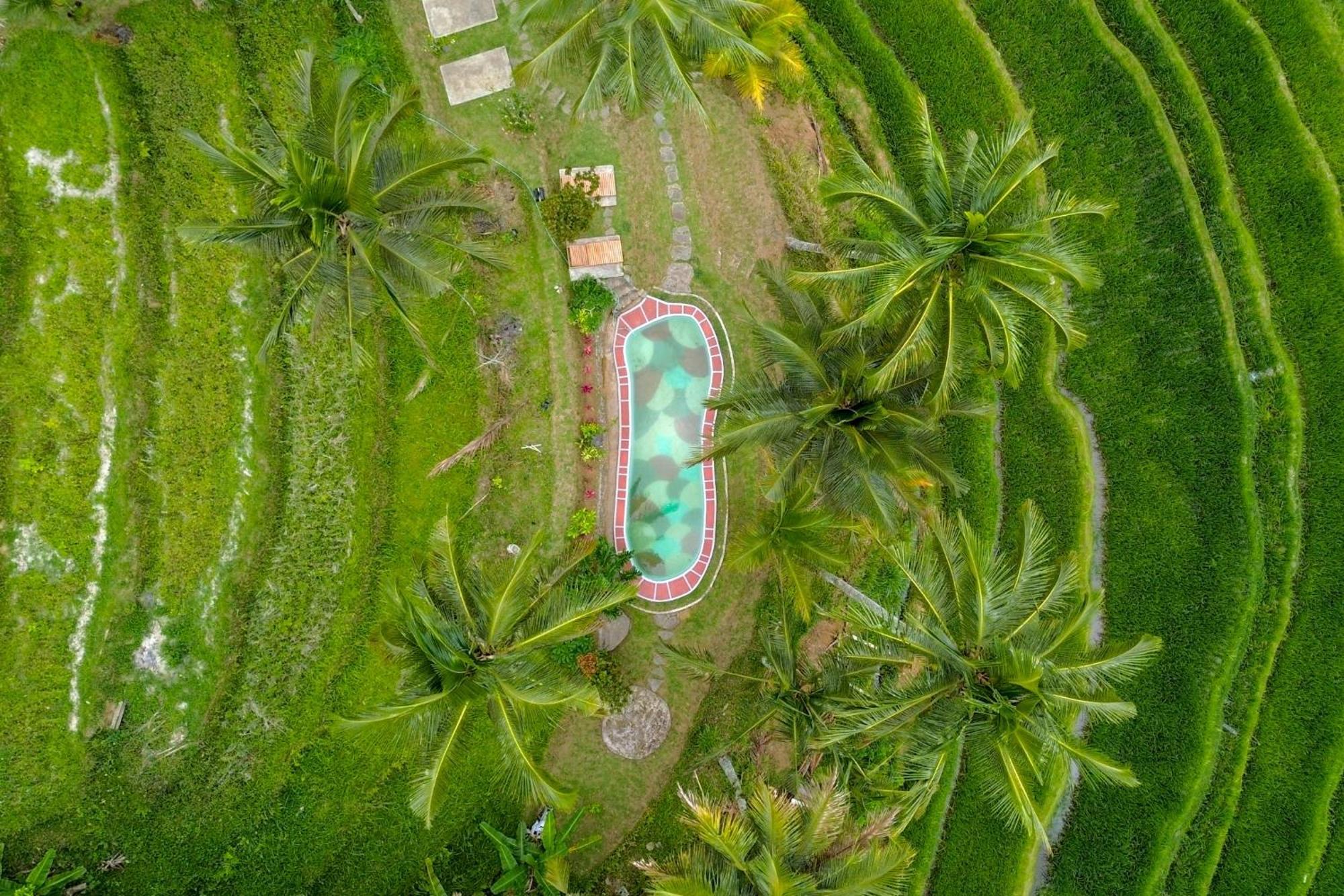 Pesona Bali Ecolodge By Agata Джатилувих Экстерьер фото
